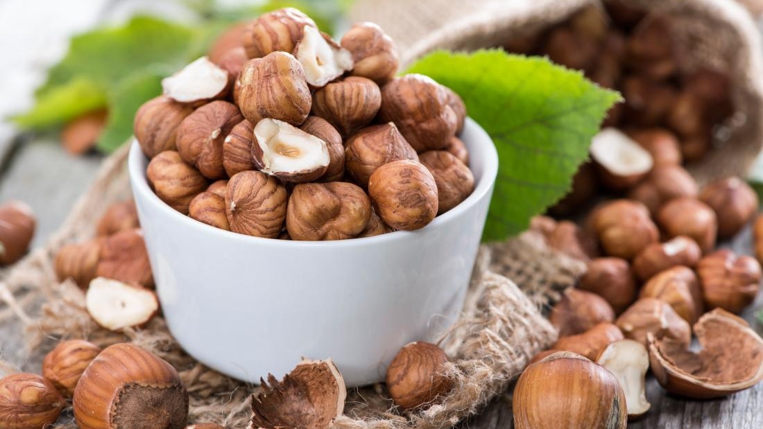 Dị ứng hạt phỉ – Cảnh báo sức khỏe cần biết trước khi sử dụng