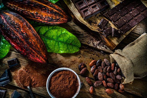 Socola: Hành trình từ cacao cổ đại đến món quà của toàn cầu