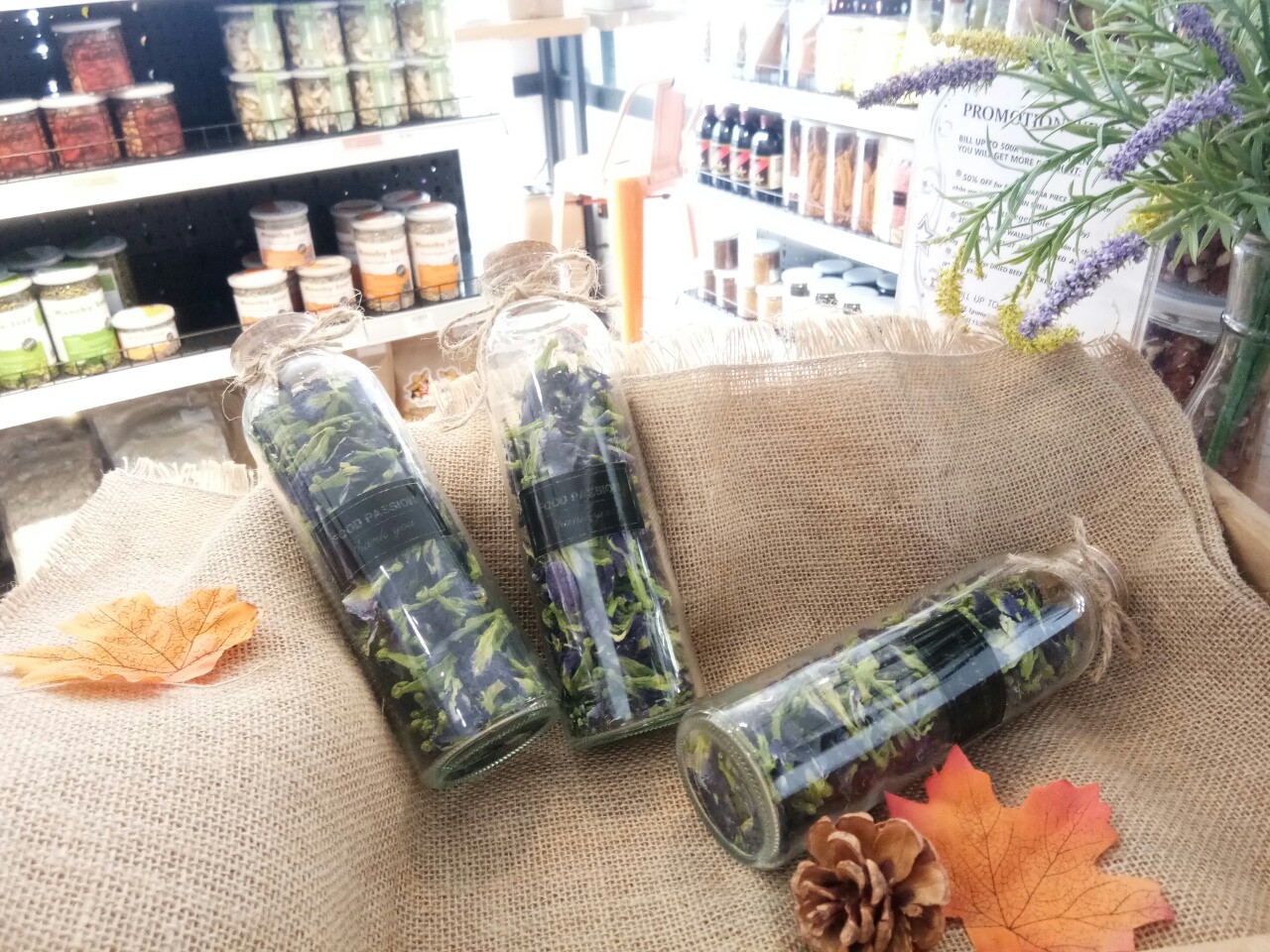 Hoa đậu biếc - BUTTERFLY PEA FLOWER