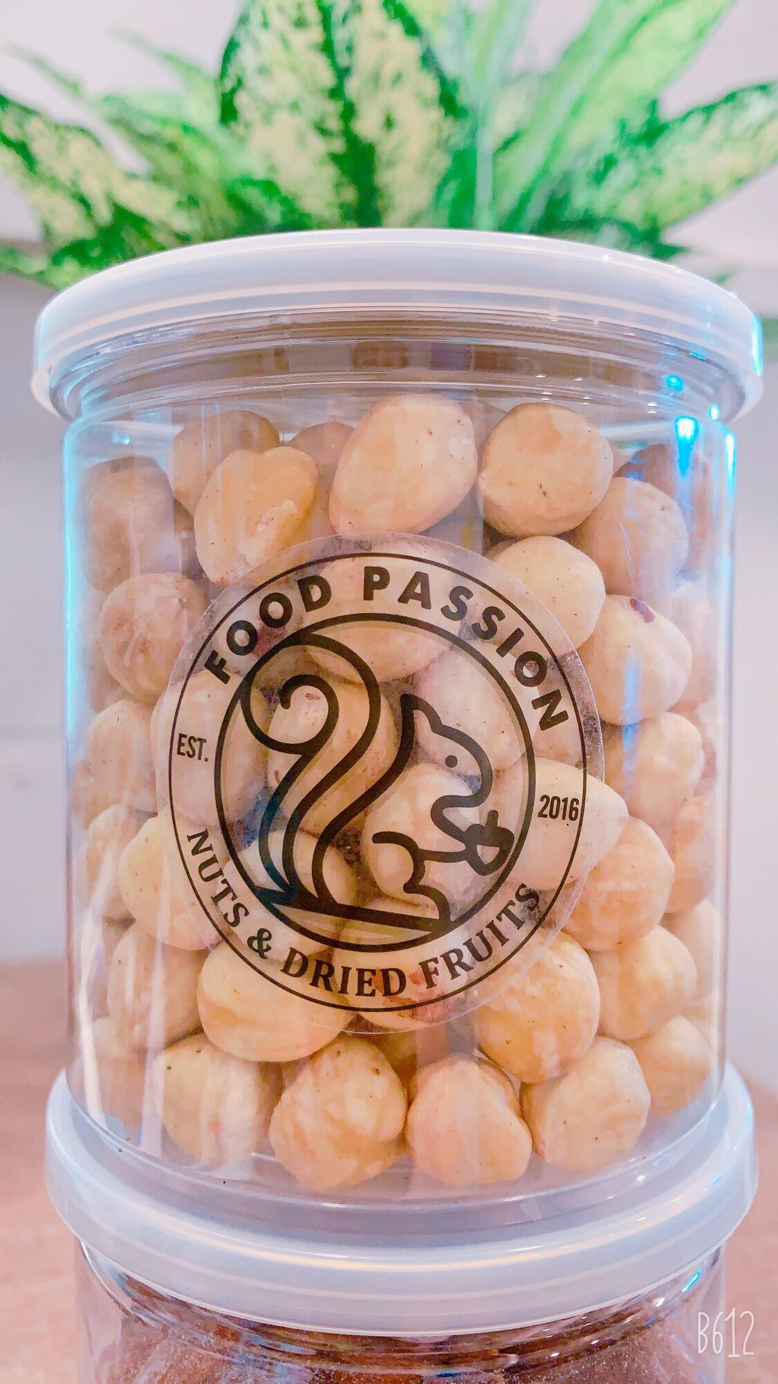 Hạt Phỉ Tách Vỏ Lụa - HAZELNUT The Nuts Valley