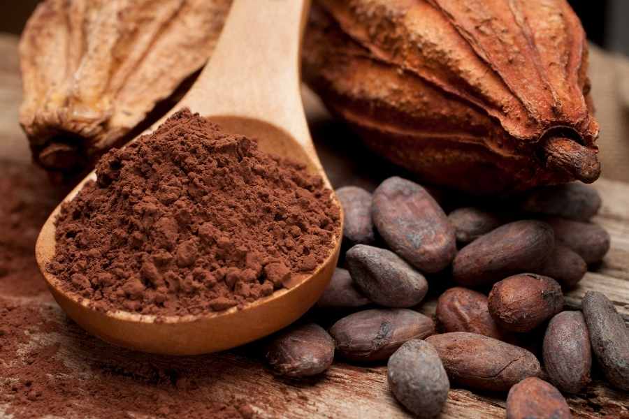 Hạt Cacao Bể và Bột Cacao Nguyên Chất 200gr  - COCOA NIBS The Nuts Valley