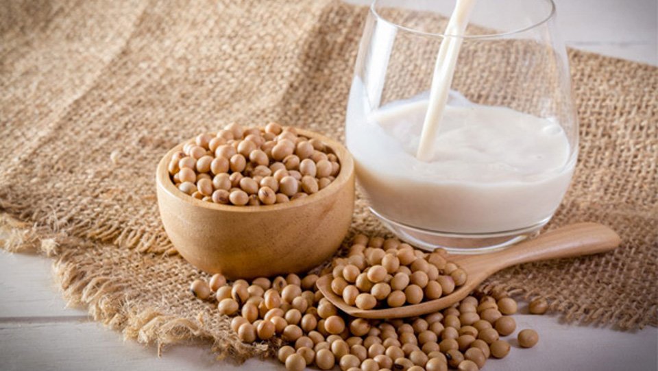 Bột Đậu Nành Rang - Hạt Đậu Nành Tươi - SOY BEAN The Nuts Valley