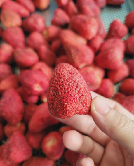 Dâu sấy giòn thăng hoa - Freeze dried strawberries The Nuts Valley
