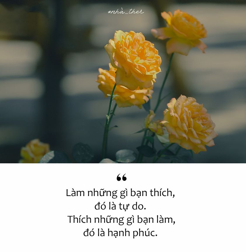 HẠNH PHÚC Ở NƠI ĐÂU?