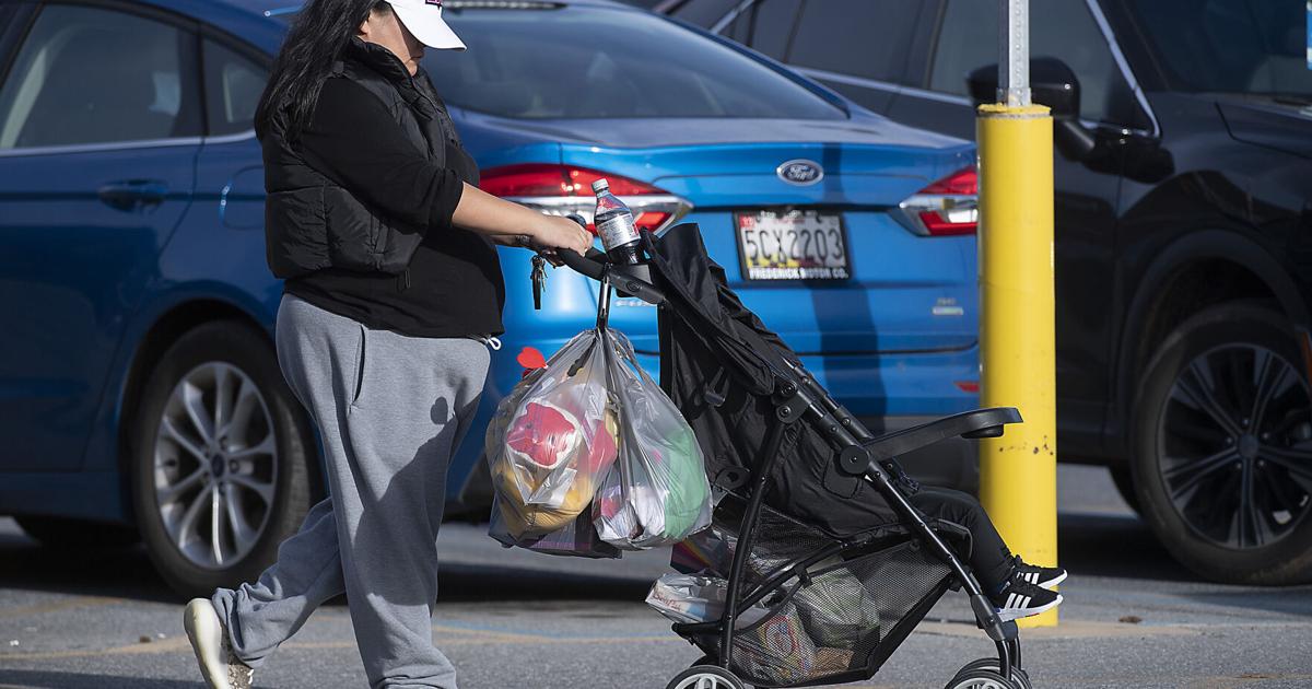 Aldermen consider Frederick plastic bag ban, with charge for paper bag