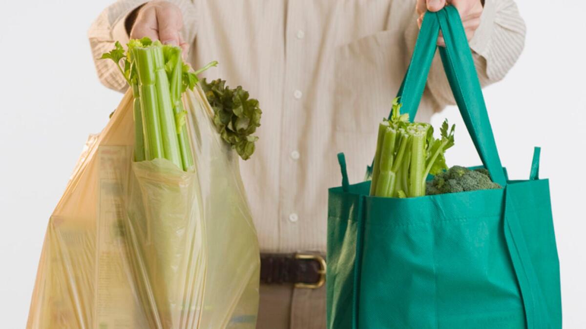 Loblaws will stop selling singleuse plastic shopping bags