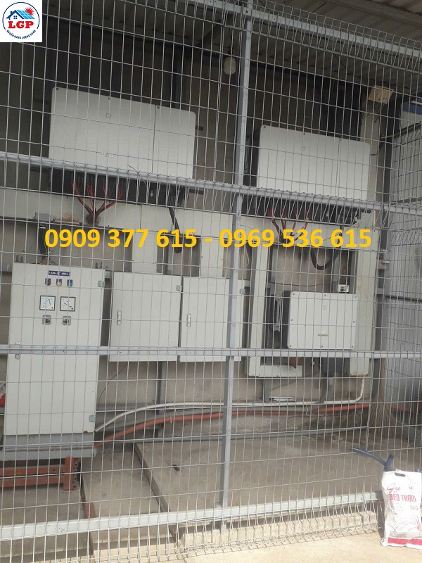 HOẠT ĐỘNG TUẦN 2 - THÁNG 02 - 2026 - CÔNG TY LÊ GIA PHÁT - NGUỒN NĂNG LƯỢNG XANH