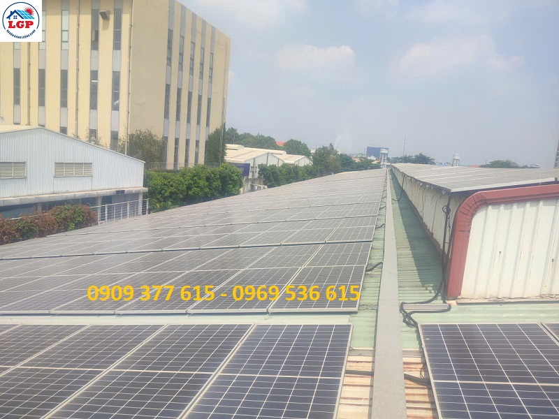 HOẠT ĐỘNG TUẦN 4 - THÁNG 03 - 2026 - CÔNG TY LÊ GIA PHÁT - NGUỒN NĂNG LƯỢNG XANH