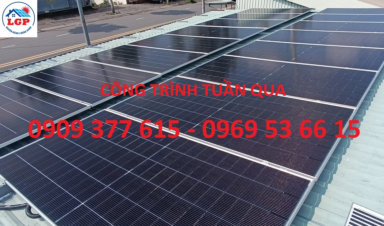 HOẠT ĐỘNG TUẦN 1 - THÁNG 12-2025 - CÔNG TY LÊ GIA PHÁT - NGUỒN NĂNG LƯỢNG XANH