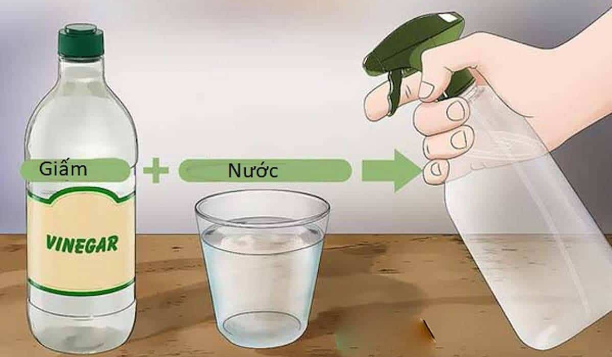 MẸO ĐUỔI KIẾN TRONG NHÀ BẾP BẰNG NGUYÊN LIỆU TỰ NHIÊN, AN TOÀN HIỆU QUẢ