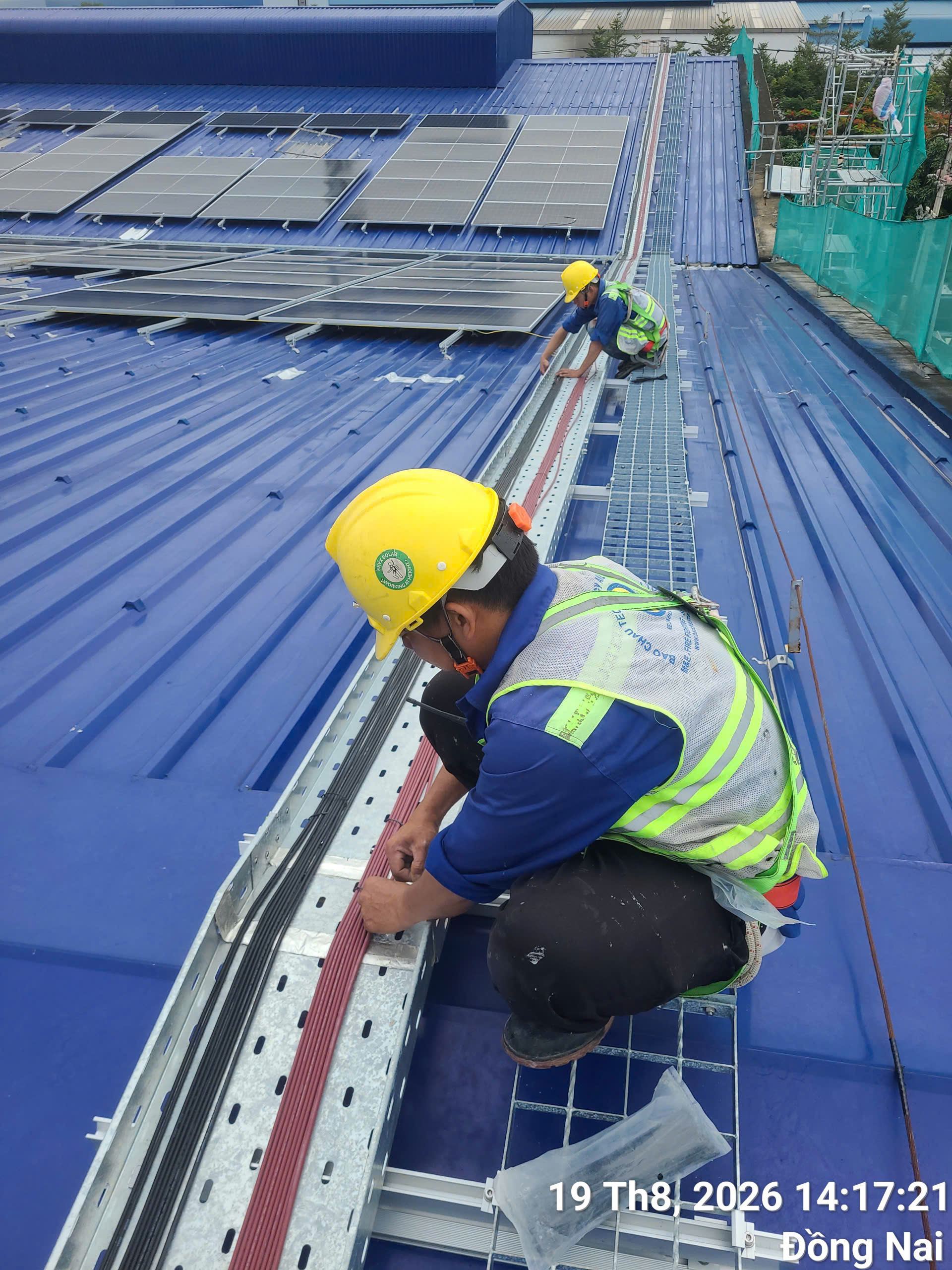 HOẠT ĐỘNG TUẦN 3 - THÁNG 08 - 2026 - CÔNG TY LÊ GIA PHÁT - NGUỒN NĂNG LƯỢNG XANH