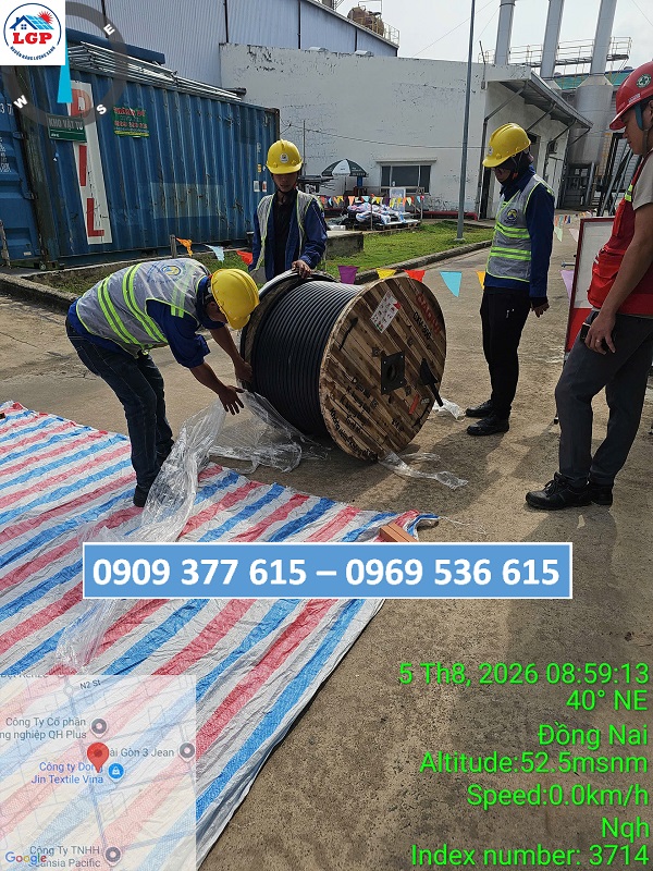 HOẠT ĐỘNG TUẦN 1 - THÁNG 08 - 2026 - CÔNG TY LÊ GIA PHÁT - NGUỒN NĂNG LƯỢNG XANH