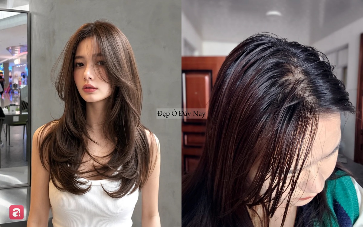 TÓC BẾT DẦU DO ĐÂU
