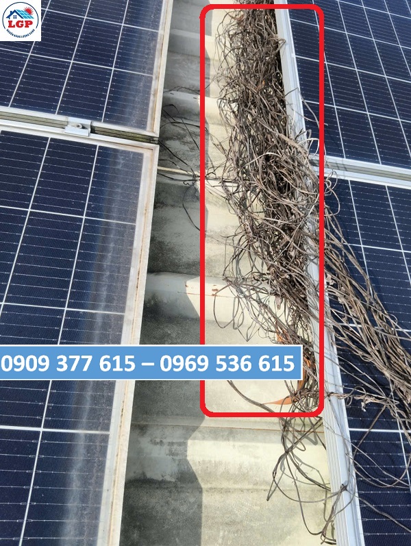 Kiểm tra và vệ sinh tấm pin điện mặt trời bị rác che lấp