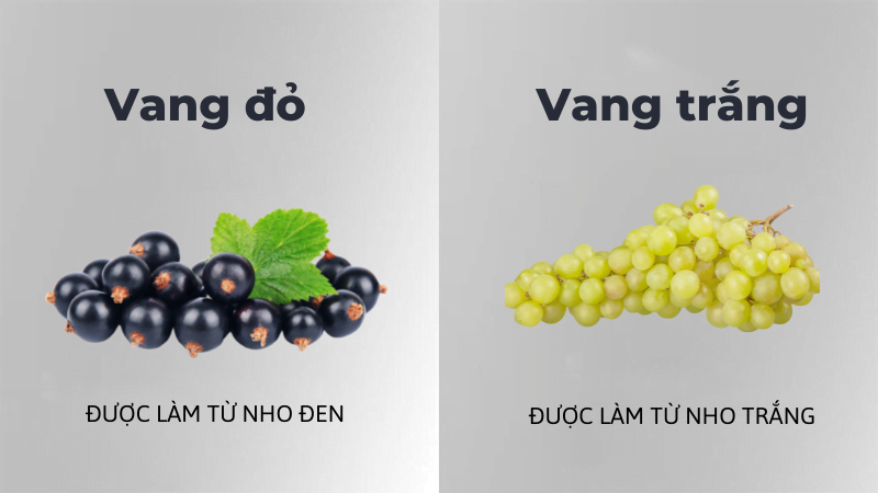 Sự Khác Biệt Giữa Rượu Vang Trắng Và Rượu Vang Đỏ