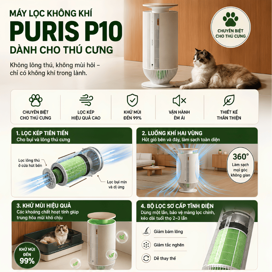 Mova Puris P10 - Máy Lọc Không Khí 2026 tại Citimall - Gigavietnam 02