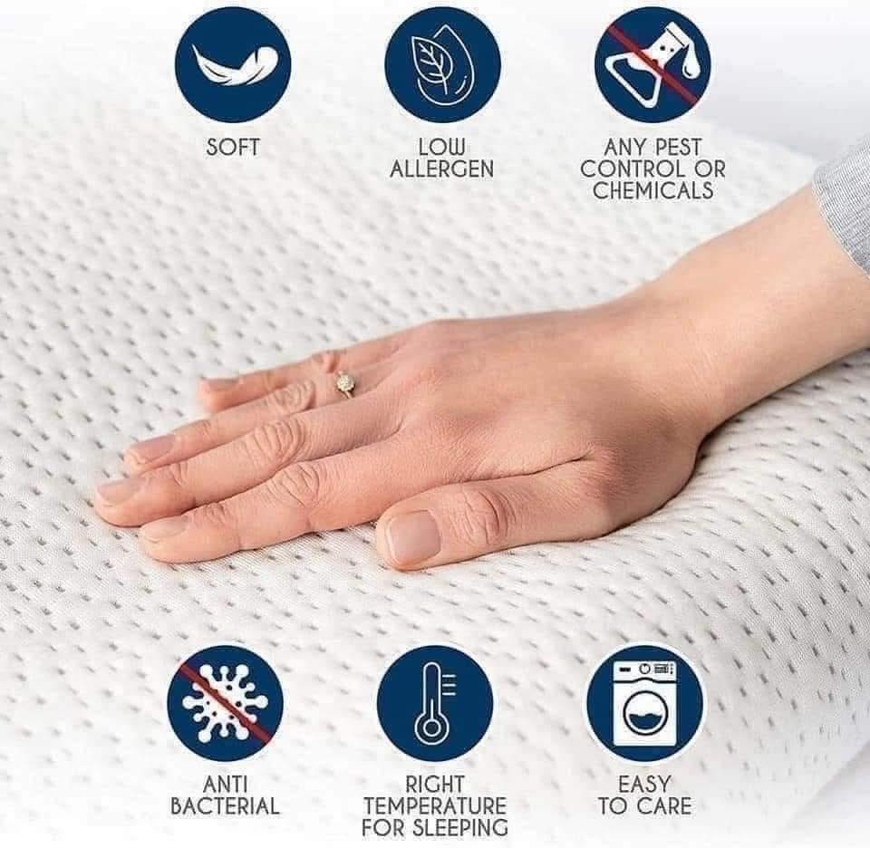 Gối Dreamzie – Giải pháp từ Đức cho cổ vai gáy khỏe mạnh