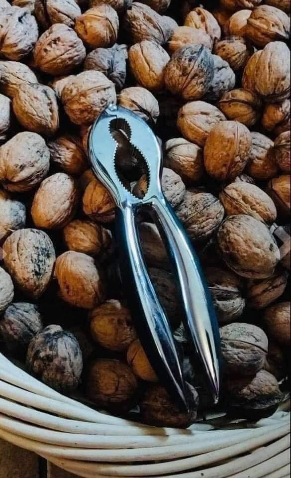 KÌM KẸP CÀNG CUA, TÔM, HẠT ÓC CHÓ SILIT