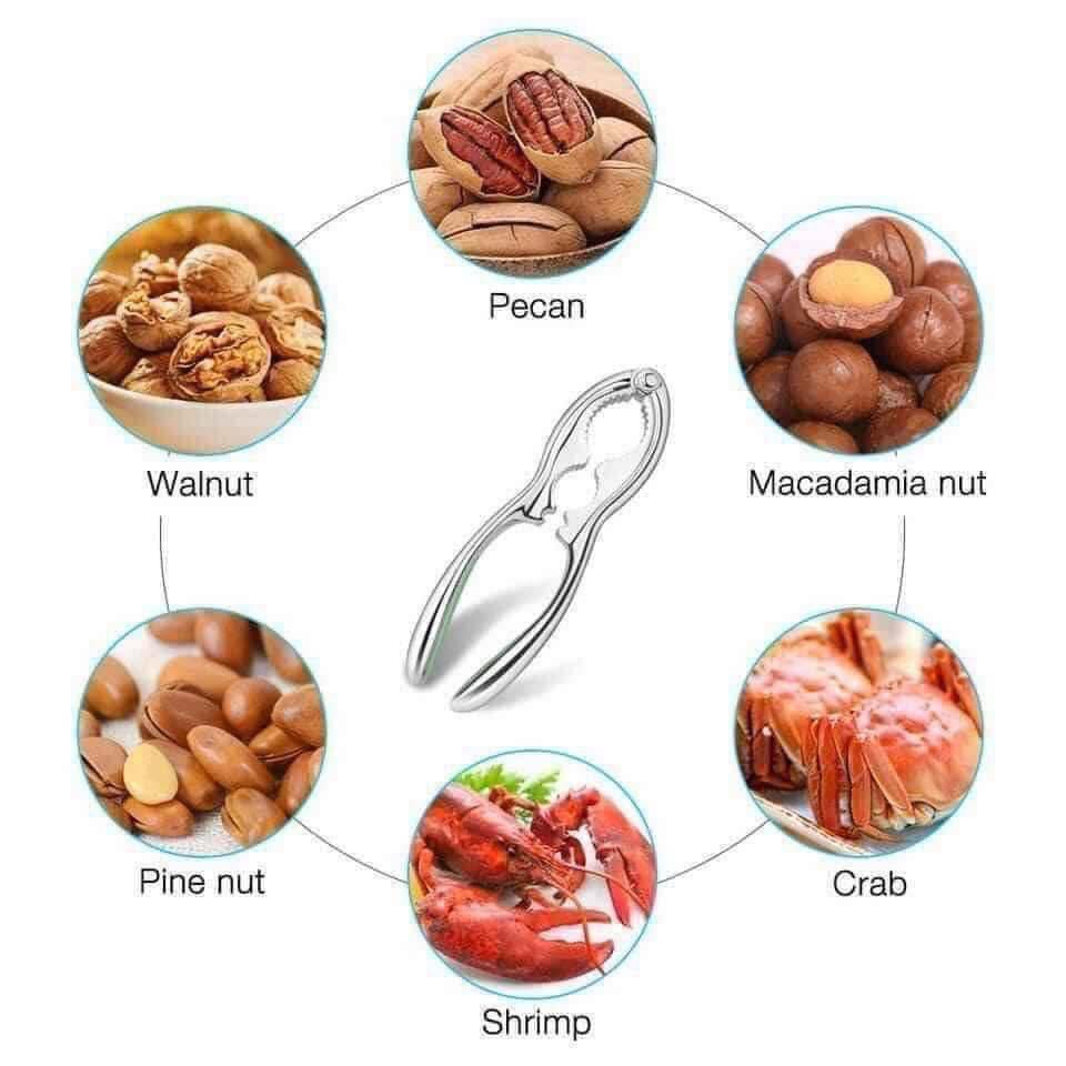 KÌM KẸP CÀNG CUA, TÔM, HẠT ÓC CHÓ SILIT