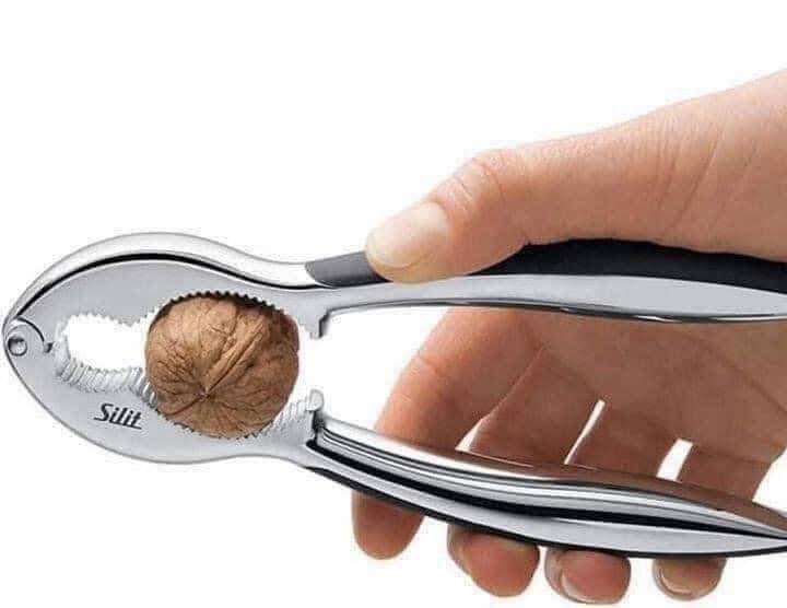 KÌM KẸP CÀNG CUA, TÔM, HẠT ÓC CHÓ SILIT