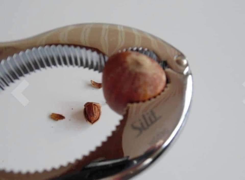 KÌM KẸP CÀNG CUA, TÔM, HẠT ÓC CHÓ SILIT