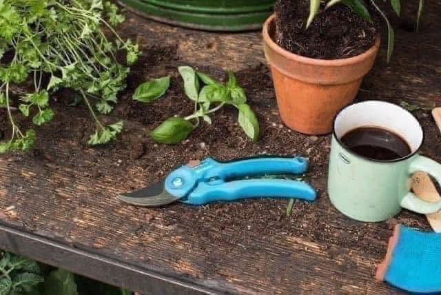 KÉO CẮT CÀNH GARDENA