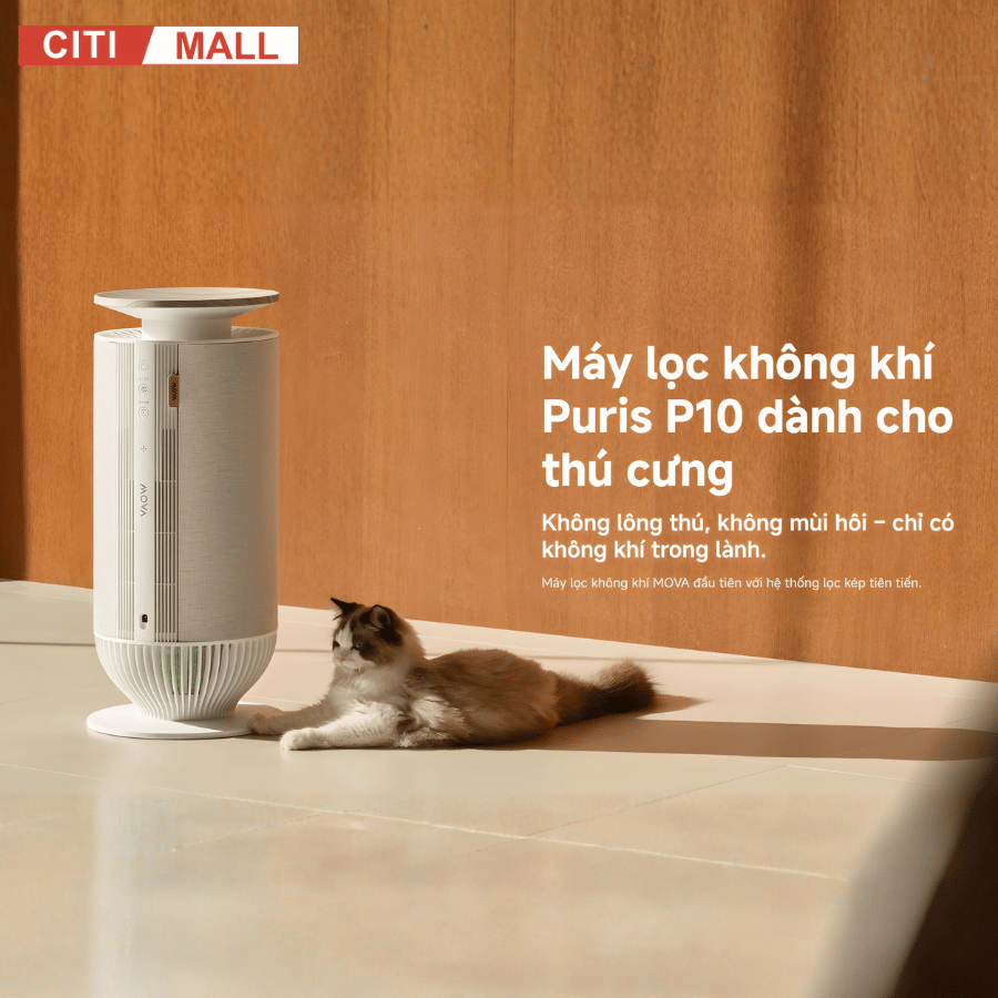 Mova Puris P10 - Máy Lọc Không Khí 2026 tại Citimall - Gigavietnam 14