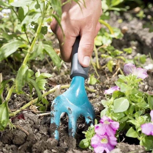 Dĩa Trồng Cây Gardena 7.5cm