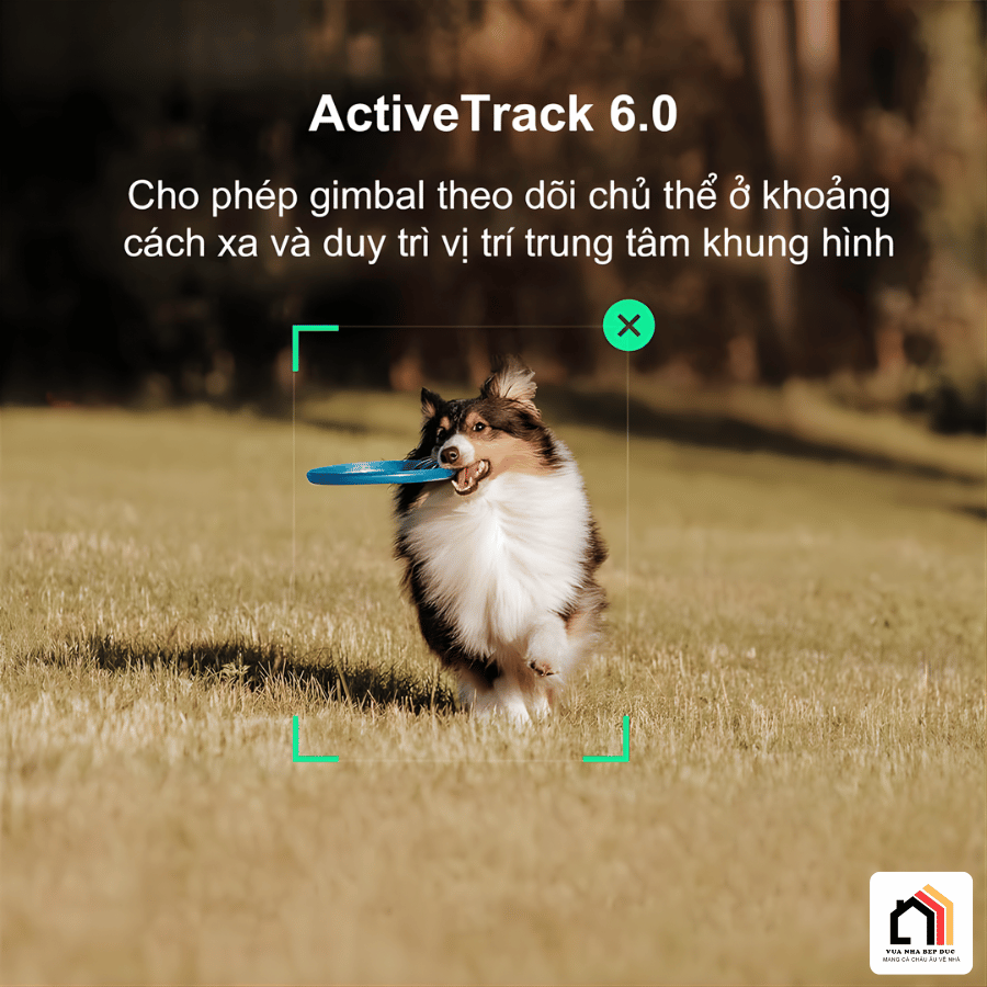 DJI Osmo Mobile SE - Gimbal Điện Thoại Thế Hệ Mới 2026 tại Vua Nhà Bếp Đức 06