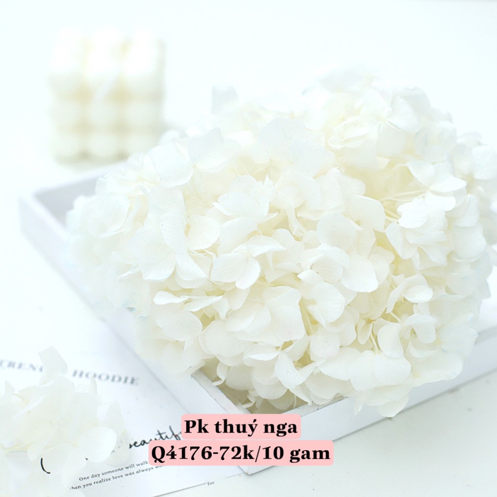 ไฮเดรนเยียแห้ง-ดอกสีขาว (10 กรัม)