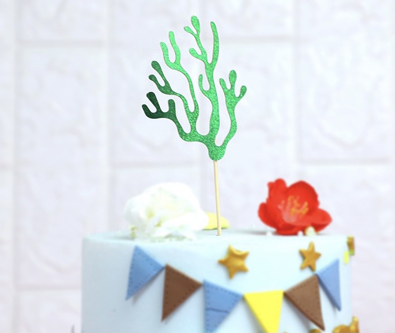 ชุดปลูกสาหร่าย 3 ต้น - รุ่น 3.