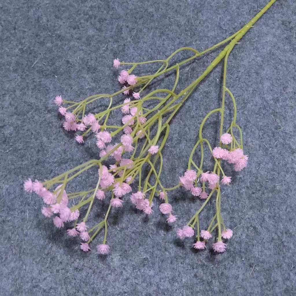 สาขาดอกทารกสีชมพู