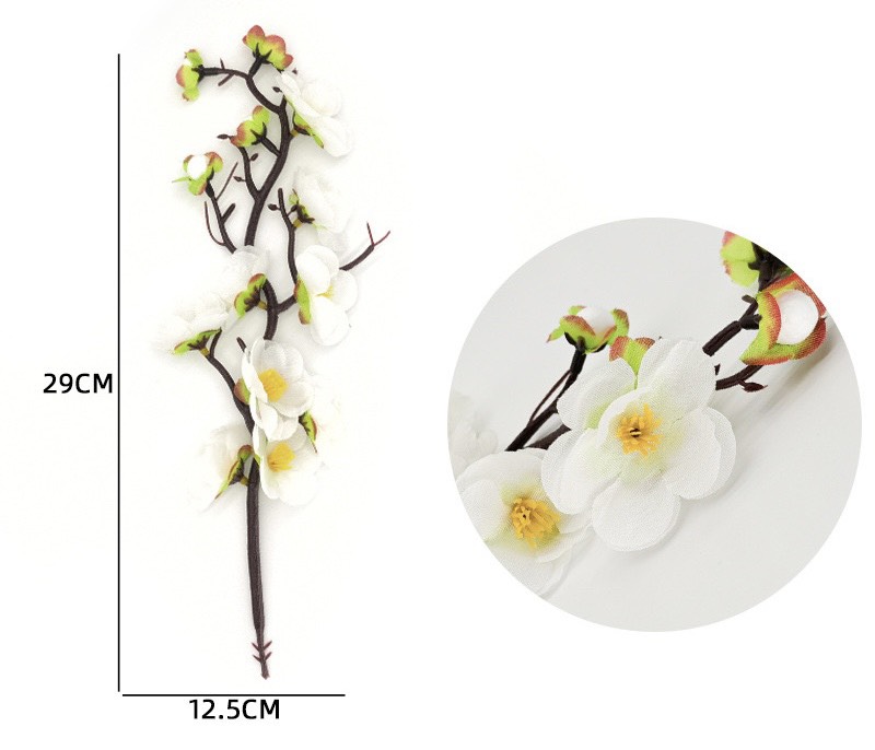 สาขาพีช-สีขาว