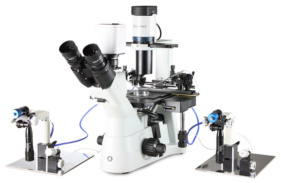 Kính hiển vi đảo ngược (soi ngược) dòng OXION INVERSO