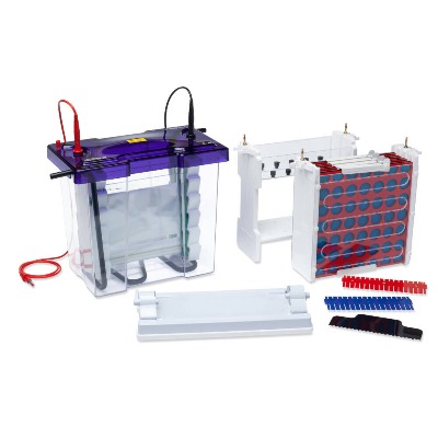 Bộ điện di đứng 2 chiều IEF, model: VS20WAVECES-HI, Hãng: Cleaver Scientific-Anh