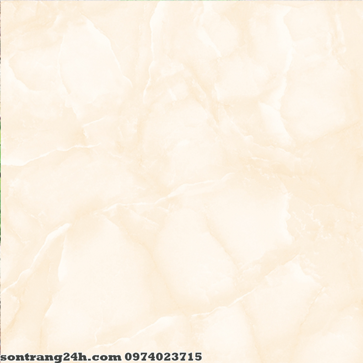 Gạch lát nền Prime 50x50 2622