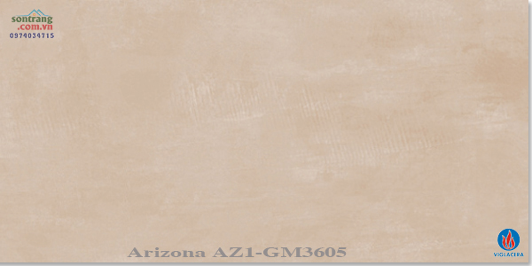 Gạch ốp 30x60 Eurotile Viglacera: Arizona AZ1-GM3605