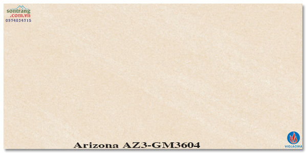 Gạch ốp 30x60 Eurotile Viglacera: Arizona AZ3-GM3604