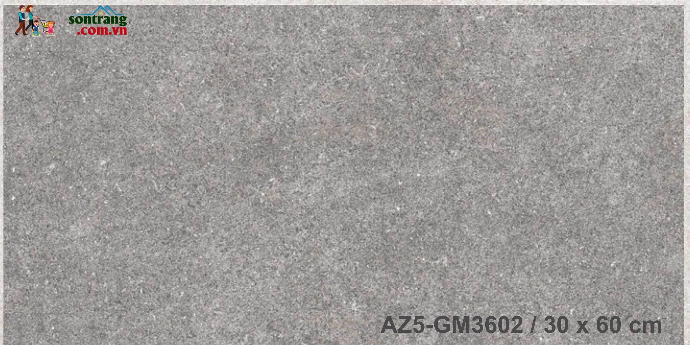 Gạch ốp 30x60 Eurotile Viglacera: Arizona AZ5-GM3602