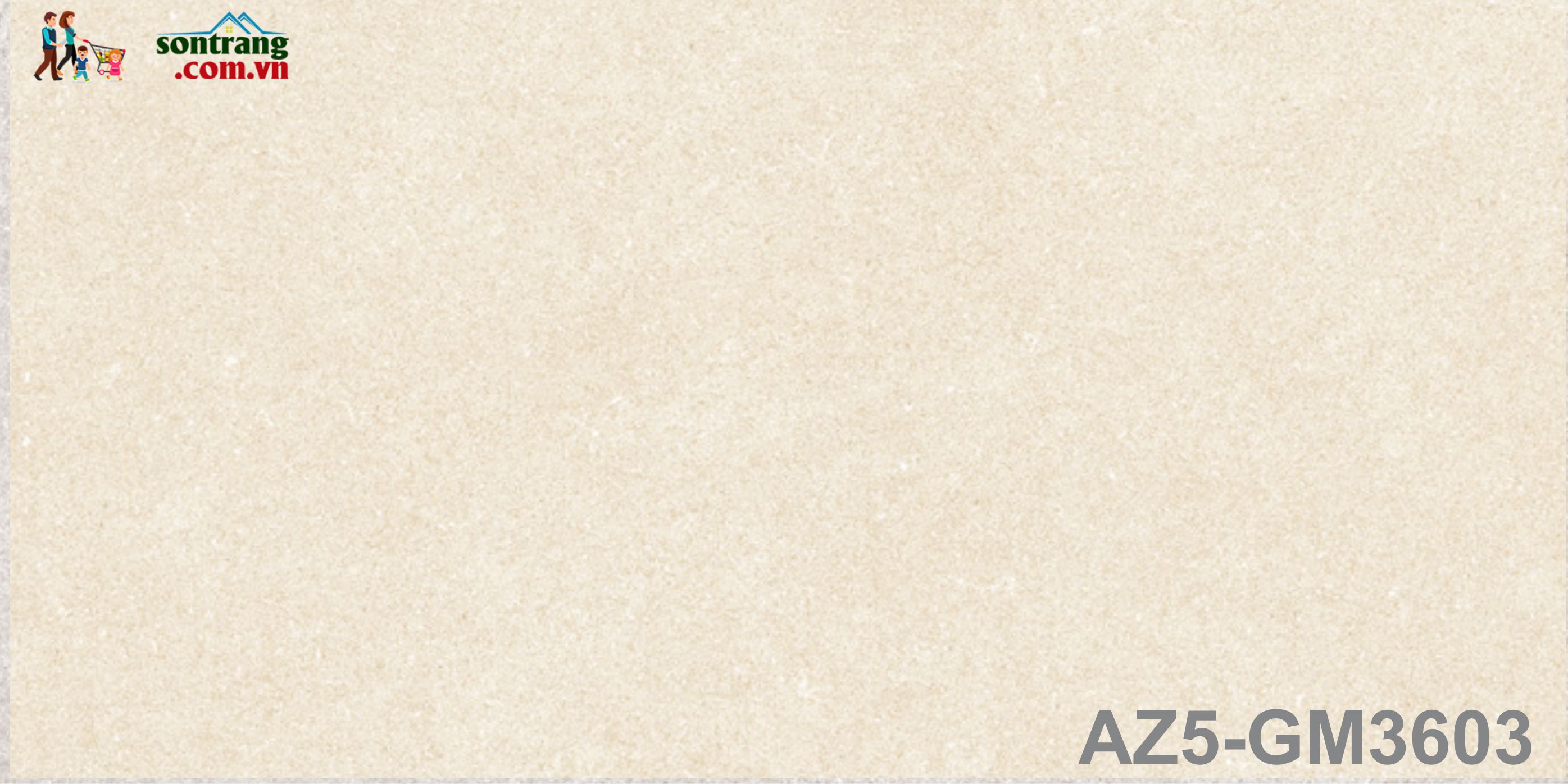 Gạch ốp 30x60 Eurotile Viglacera: Arizona AZ5-GM3603