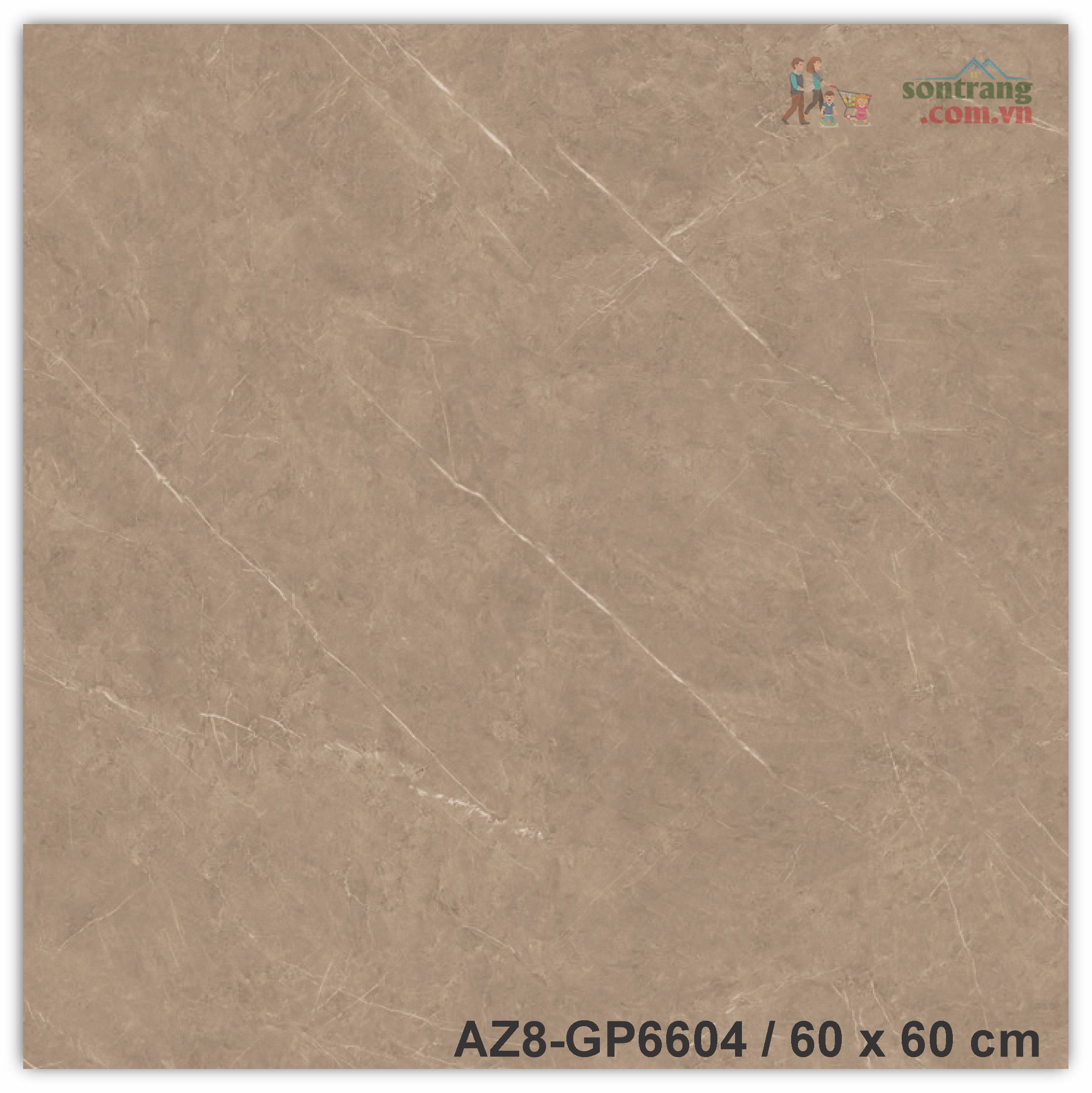 Gạch lát 60x60 men bóng Arizona AZ8-GP6604