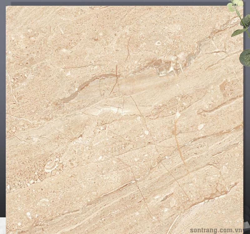 Gạch nền 30x30 cm TTC 33202