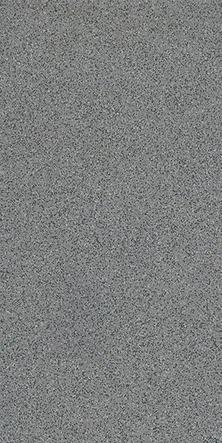 Gạch Taicera KT 30x60 G63028