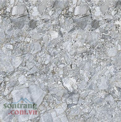 Gạch lát VS Prime 300x300 mã 9338