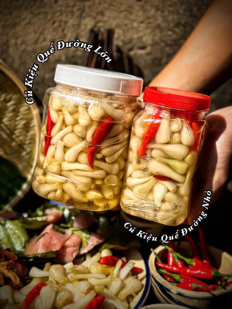 KIỆU QUẾ ĐƯỜNG (Hũ nhỏ 550G)