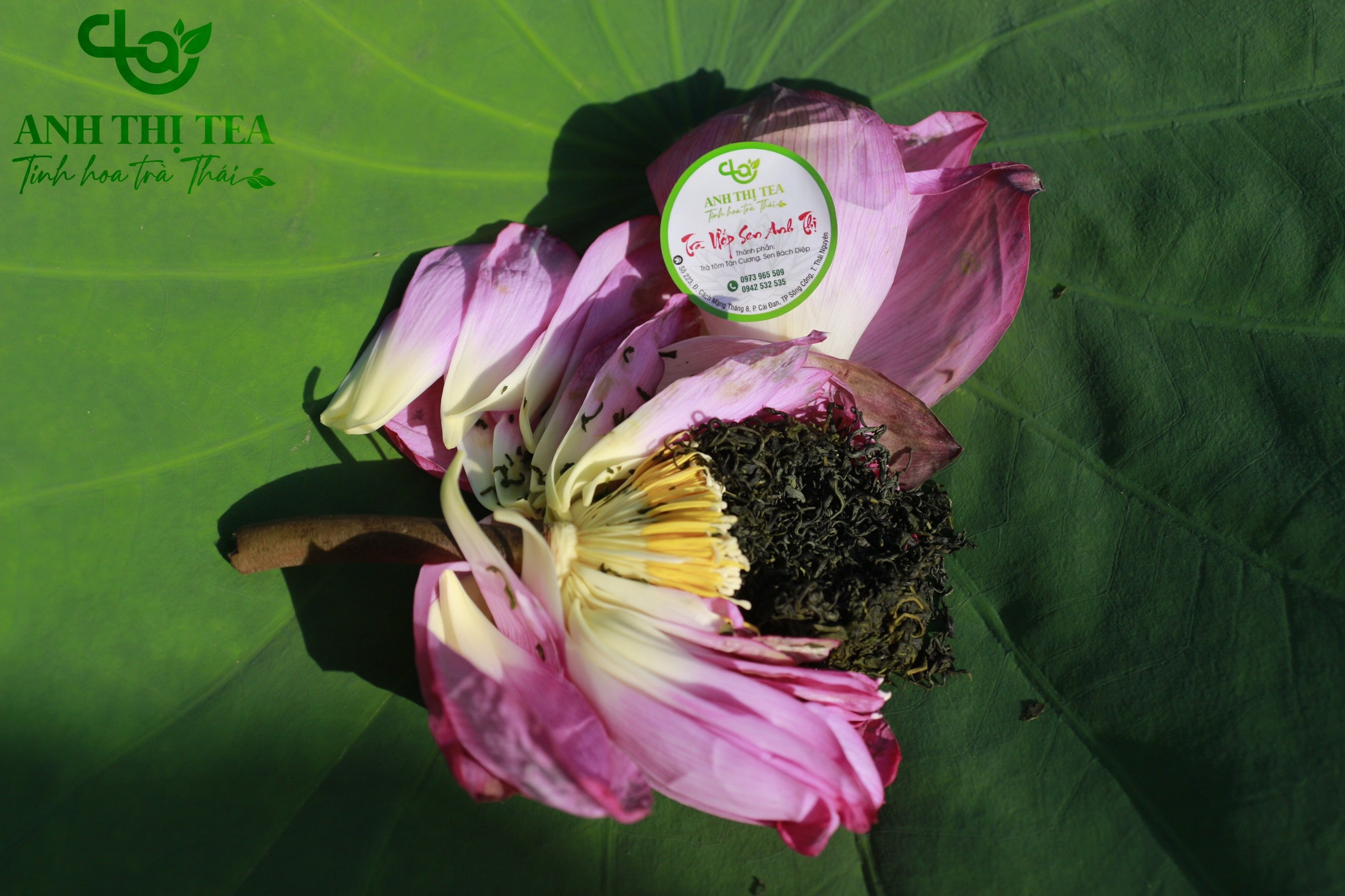 Cách pha Trà Ướp Bông Sen đúng chuẩn !!!