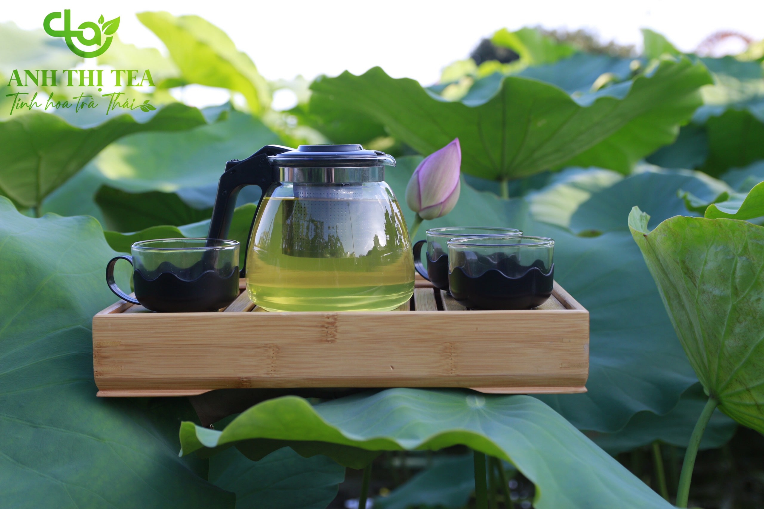 Cách bảo quản trà Thái Nguyên giữ được hương thơm lâu dài.