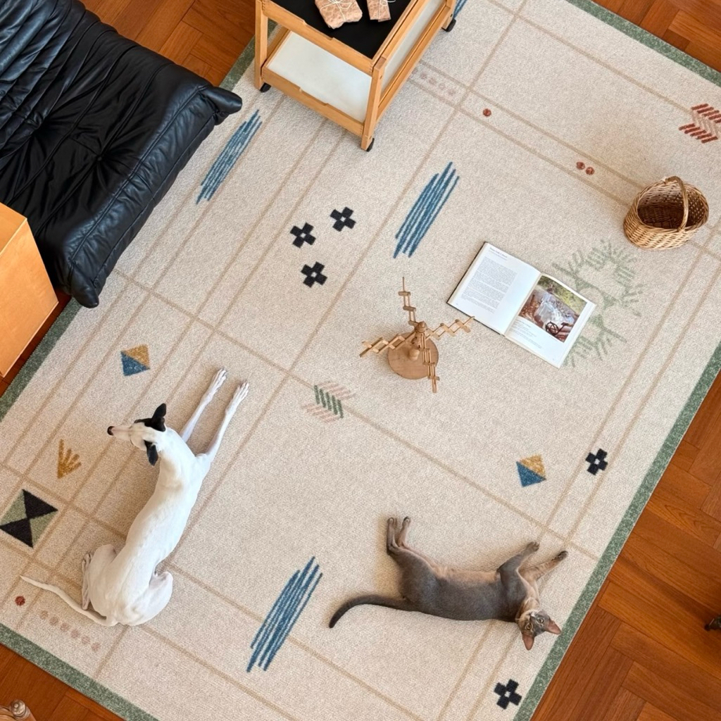 Thảm trải sàn len Dolly Dolly nhập khẩu cao cấp / Dolly Dolly Rug