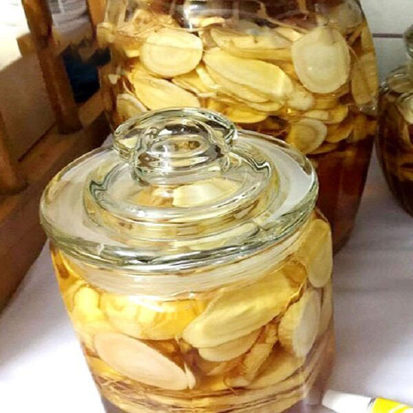 Cách Bảo Quản Sâm Tươi Đúng Cách Giữ Nguyên Dưỡng Chất