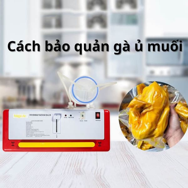 Cách bảo quản gà ủ muối